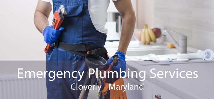 Emergency Plumbing Services Cloverly - Maryland