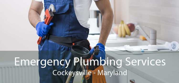 Emergency Plumbing Services Cockeysville - Maryland