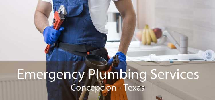 Emergency Plumbing Services Concepcion - Texas