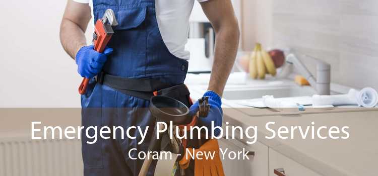 Emergency Plumbing Services Coram - New York