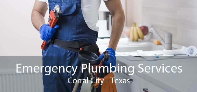 Emergency Plumbing Services Corral City - Texas