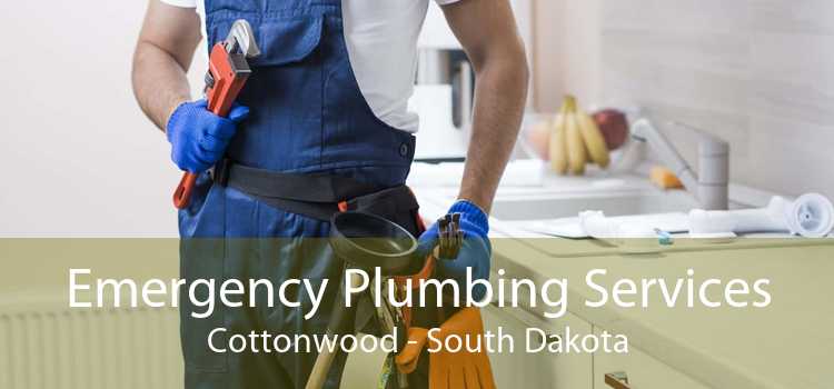 Emergency Plumbing Services Cottonwood - South Dakota