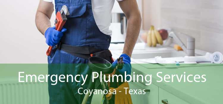 Emergency Plumbing Services Coyanosa - Texas