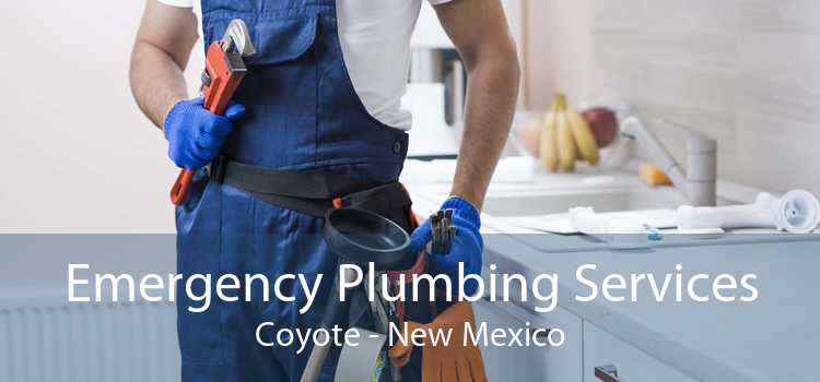 Emergency Plumbing Services Coyote - New Mexico