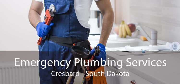 Emergency Plumbing Services Cresbard - South Dakota