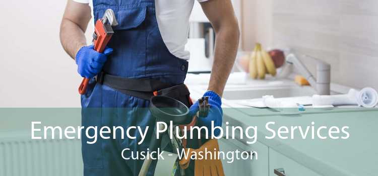 Emergency Plumbing Services Cusick - Washington