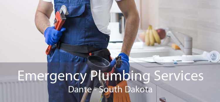 Emergency Plumbing Services Dante - South Dakota