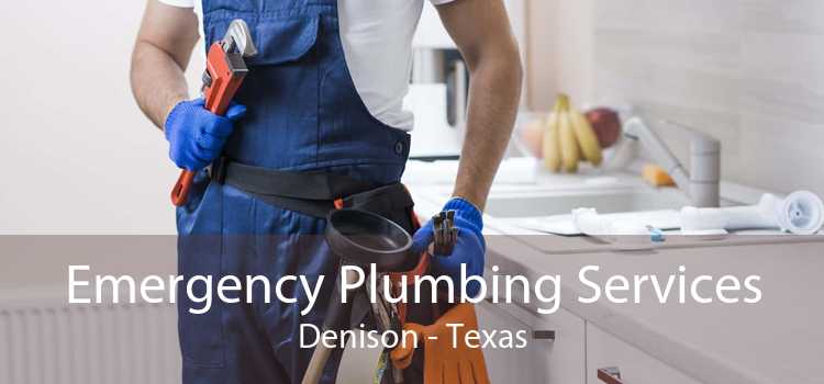 Emergency Plumbing Services Denison - Texas