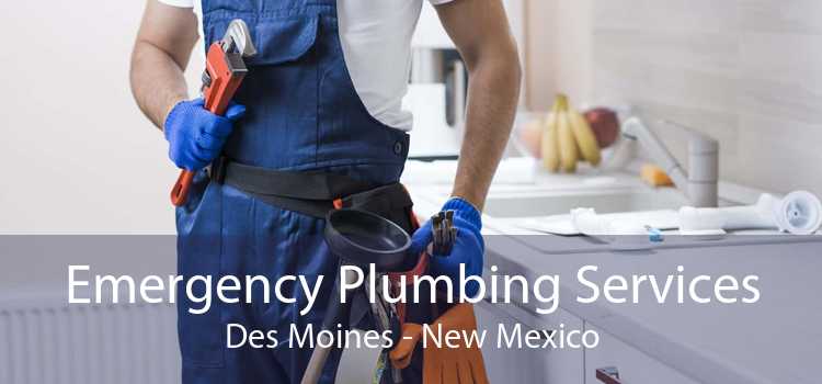 Emergency Plumbing Services Des Moines - New Mexico
