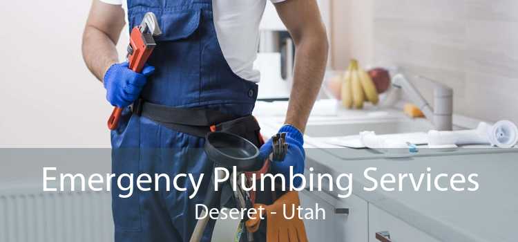 Emergency Plumbing Services Deseret - Utah