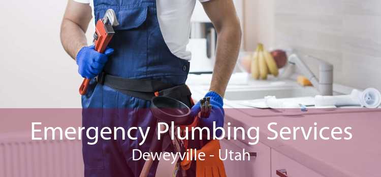 Emergency Plumbing Services Deweyville - Utah