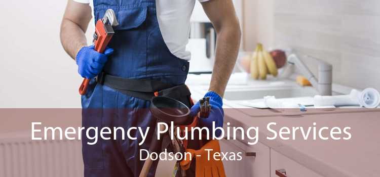 Emergency Plumbing Services Dodson - Texas