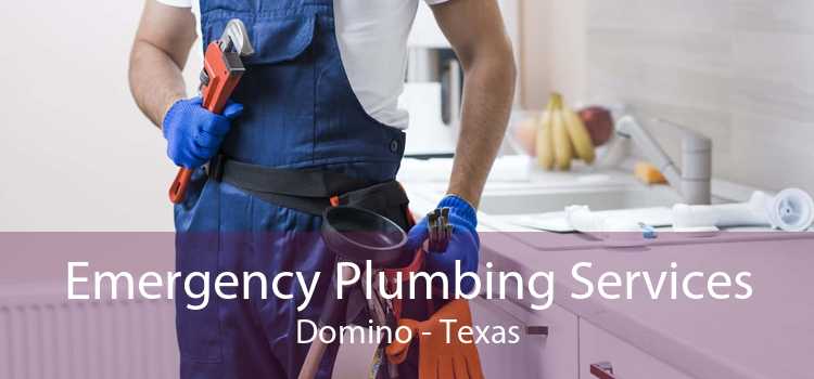 Emergency Plumbing Services Domino - Texas