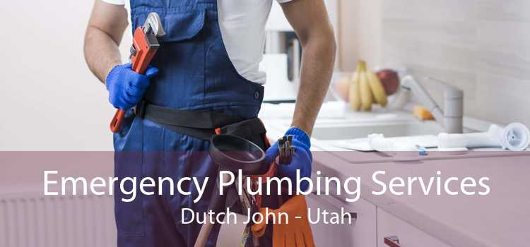 Emergency Plumbing Services Dutch John - Utah