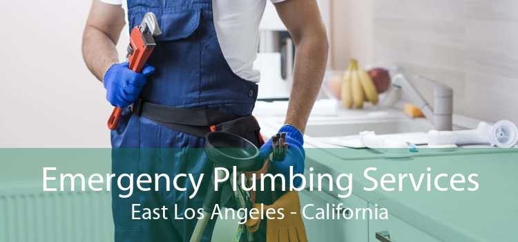 Emergency Plumbing Services East Los Angeles - California