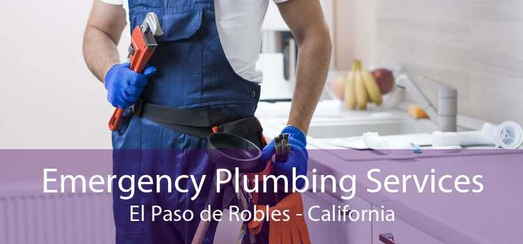 Emergency Plumbing Services El Paso de Robles - California