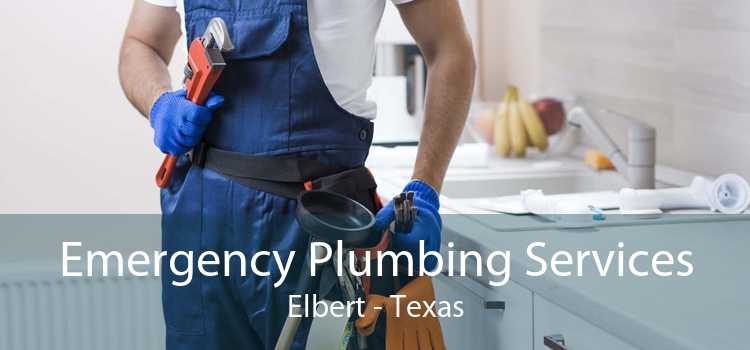 Emergency Plumbing Services Elbert - Texas