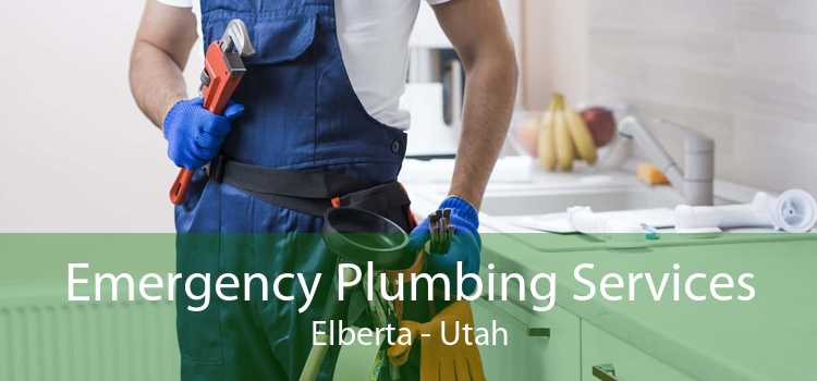 Emergency Plumbing Services Elberta - Utah
