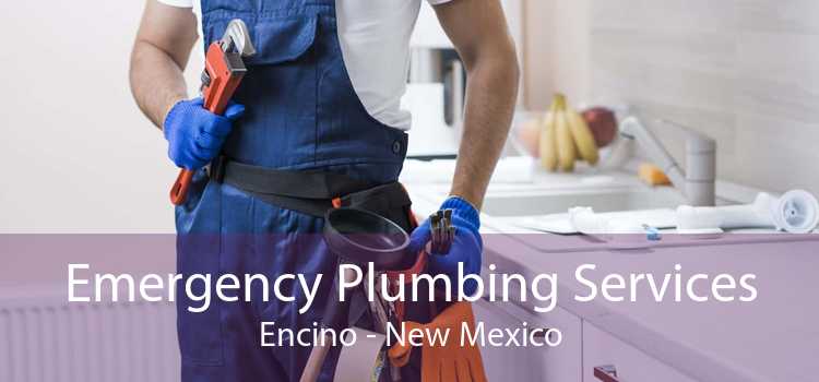 Emergency Plumbing Services Encino - New Mexico