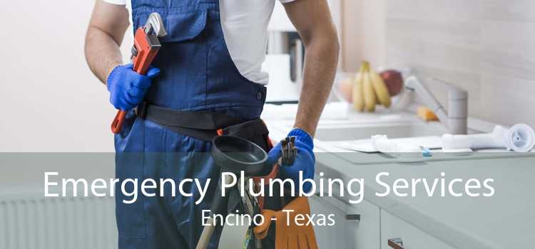 Emergency Plumbing Services Encino - Texas