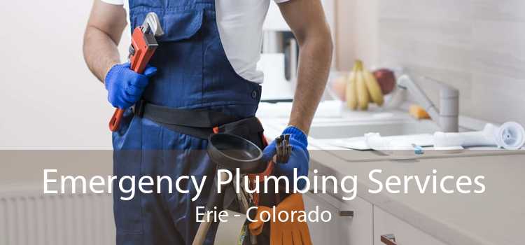 Emergency Plumbing Services Erie - Colorado