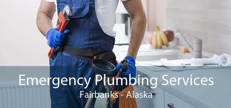 Emergency Plumbing Services Fairbanks - Alaska