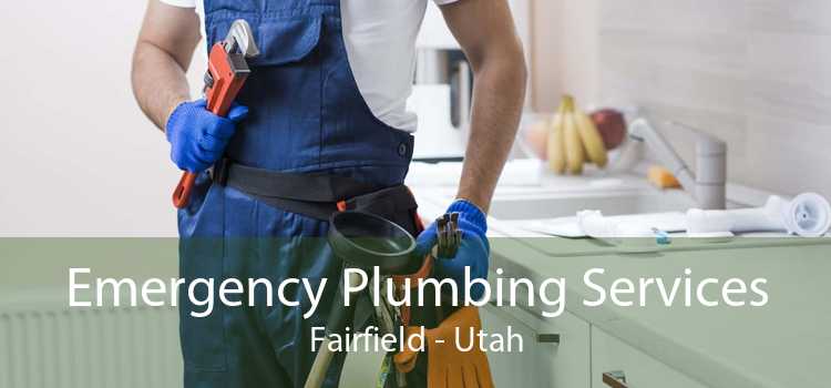 Emergency Plumbing Services Fairfield - Utah