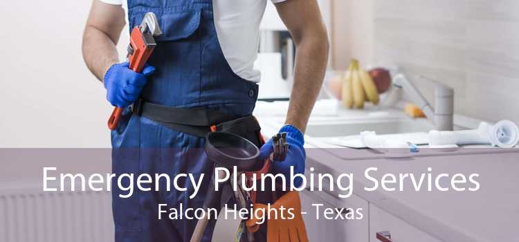 Emergency Plumbing Services Falcon Heights - Texas