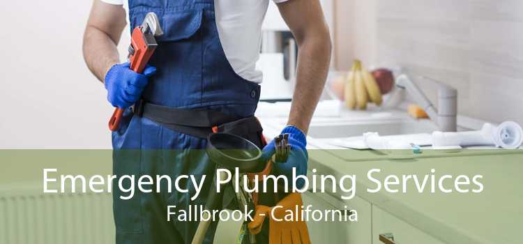 Emergency Plumbing Services Fallbrook - California