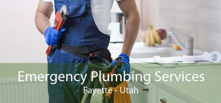 Emergency Plumbing Services Fayette - Utah