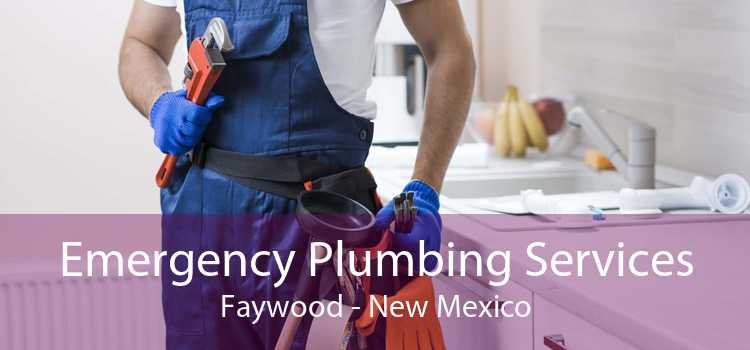 Emergency Plumbing Services Faywood - New Mexico