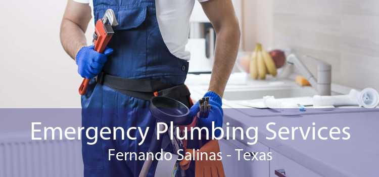 Emergency Plumbing Services Fernando Salinas - Texas