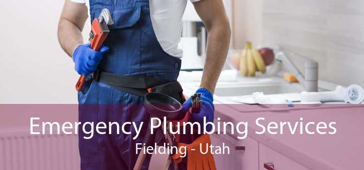 Emergency Plumbing Services Fielding - Utah