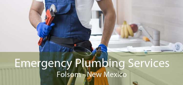 Emergency Plumbing Services Folsom - New Mexico