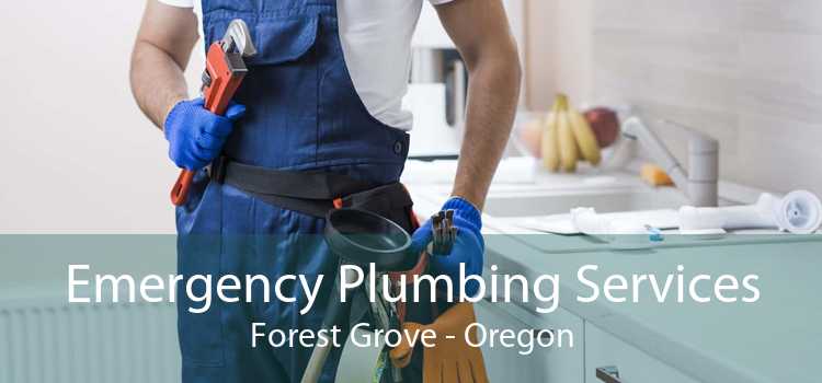 Emergency Plumbing Services Forest Grove - Oregon
