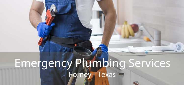 Emergency Plumbing Services Forney - Texas