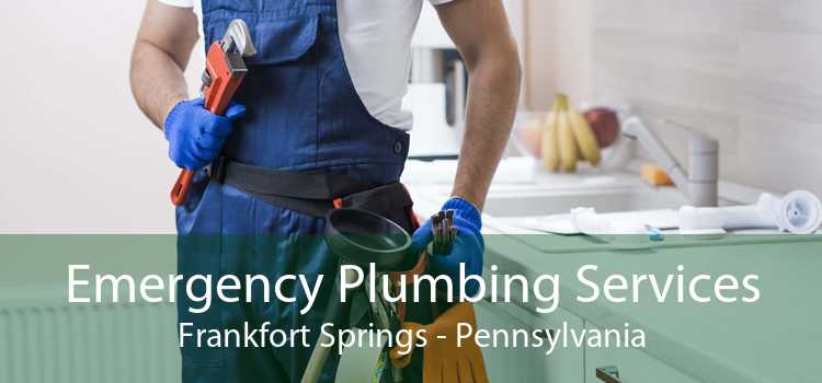 Emergency Plumbing Services Frankfort Springs - Pennsylvania