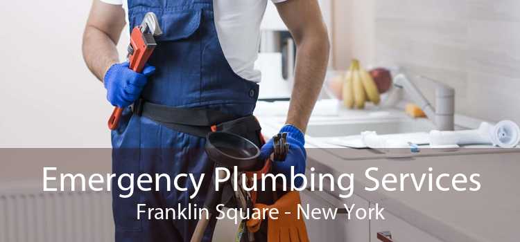 Emergency Plumbing Services Franklin Square - New York