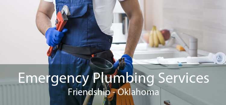 Emergency Plumbing Services Friendship - Oklahoma
