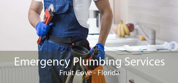 Emergency Plumbing Services Fruit Cove - Florida
