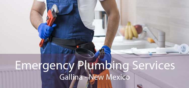 Emergency Plumbing Services Gallina - New Mexico