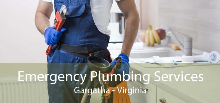 Emergency Plumbing Services Gargatha - Virginia
