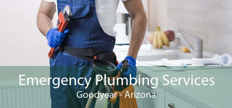 Emergency Plumbing Services Goodyear - Arizona