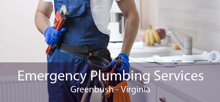 Emergency Plumbing Services Greenbush - Virginia