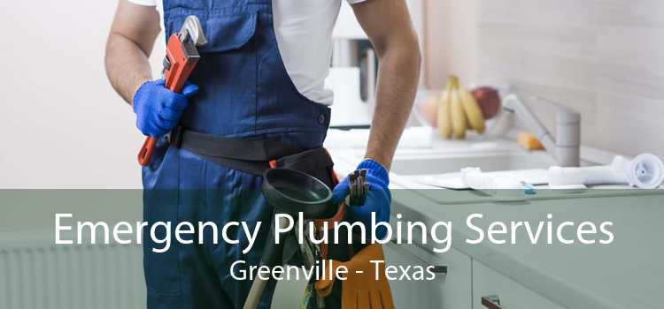 Emergency Plumbing Services Greenville - Texas