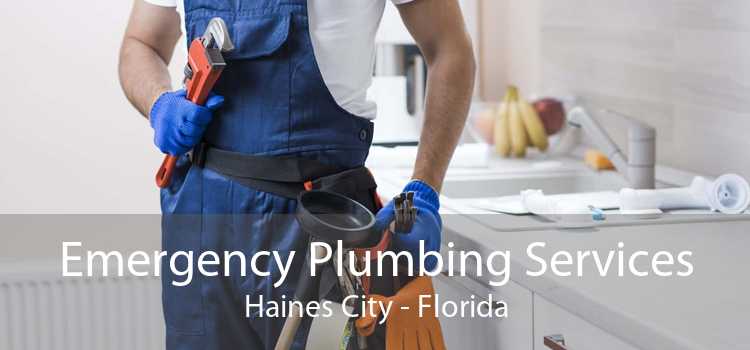Emergency Plumbing Services Haines City - Florida