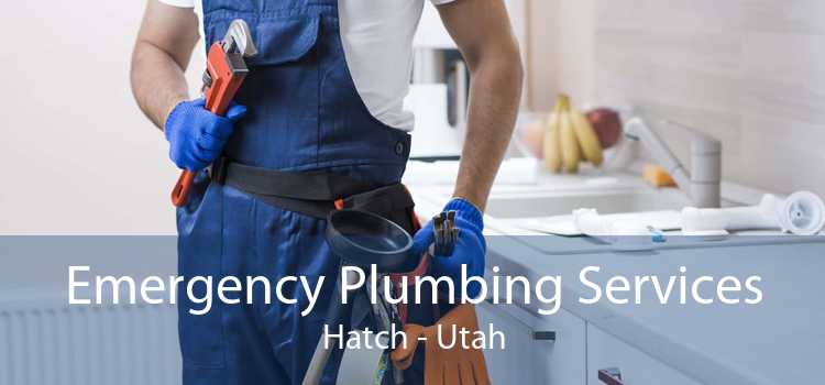 Emergency Plumbing Services Hatch - Utah