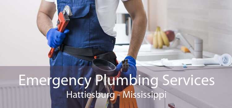 Emergency Plumbing Services Hattiesburg - Mississippi