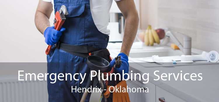 Emergency Plumbing Services Hendrix - Oklahoma