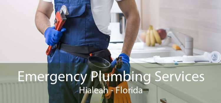Emergency Plumbing Services Hialeah - Florida